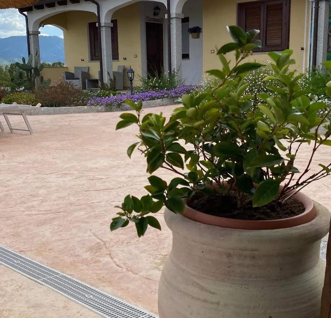 Nocleg ze śniadaniem B&B Blue Relax - Turismo Rurale Torpè Włochy
